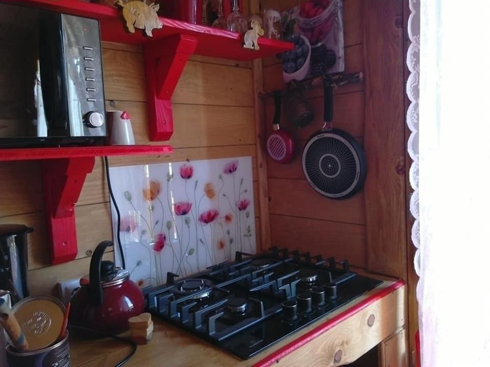 Sur Pilotis Ane'ita De L'arbenquens Chalet